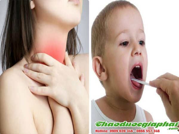 kim-ngan-hoa-dieu-tri-viem-phe-quan-tai-quan-12-tot-nhat