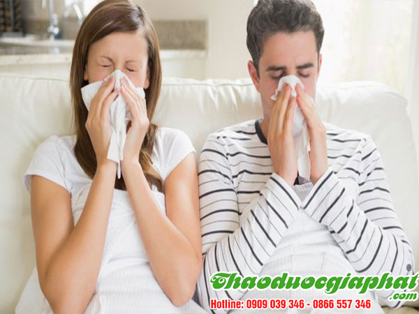 kim-tien-thao-tri-cam-cum-hieu-qua-tai-quan-binh-tan