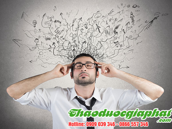 kim-tien-thao-tri-suy-giam-tri-nho-tai-quan-2