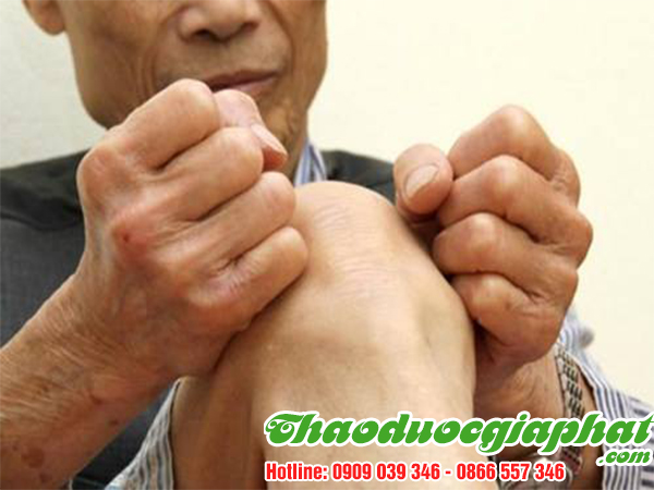 la-don-do-tai-quan-11-chat-luong-tri-benh-phong-thap-tot-nhat