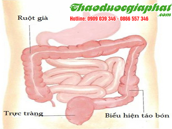 la-du-du-duc-giup-nhuan-trang-tai-quan-binh-tan