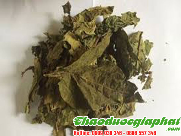la-du-du-duc-tai-quan-6