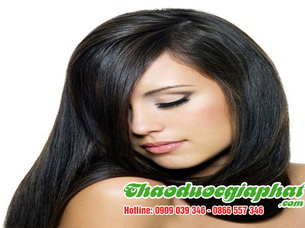 mua-ban-cay-co-ngot-uy-tin-chat-luong-tai-huyen-can-gio-tri-rung-toc