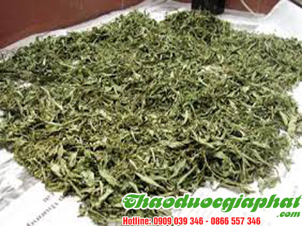 mua-ban-cay-co-ngot-uy-tin-chat-luong-tai-quan-10