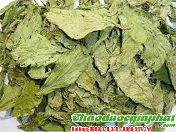 mua-ban-cay-co-ngot-uy-tin-chat-luong-tai-quan-11