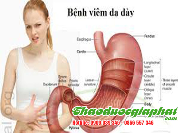 mua-ban-cay-co-ngot-uy-tin-chat-luong-tai-quan-12-tri-viem-da-day