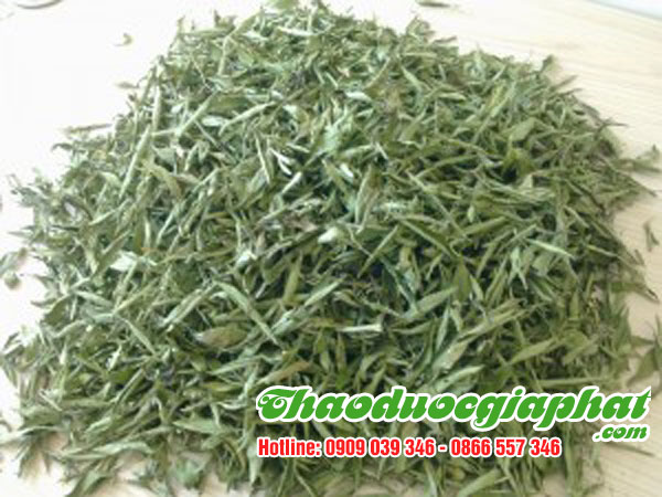 mua-ban-cay-co-ngot-uy-tin-chat-luong-tai-quan-5