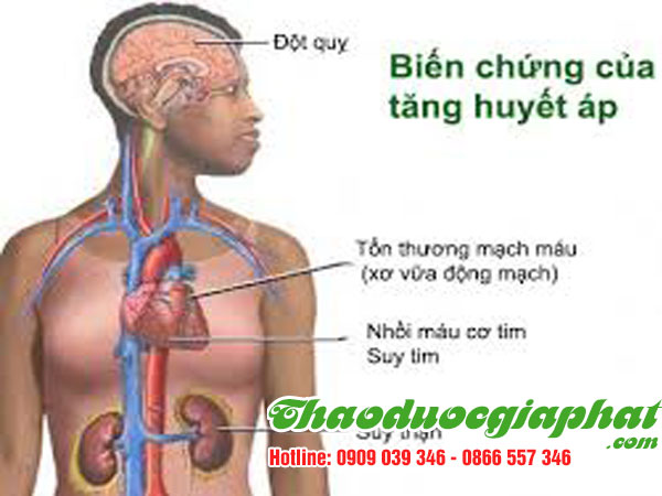 mua-ban-cay-co-ngot-uy-tin-chat-luong-tai-quan-9-on-dinh-huyet-ap