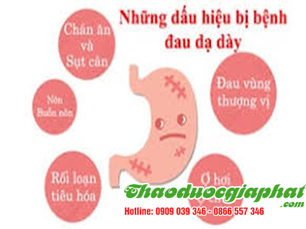 mua-ban-cay-co-ngot-uy-tin-chat-luong-tai-quan-tan-binh-tri-loet-da-day