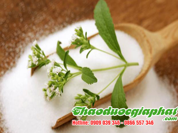 mua-ban-cay-co-ngot-uy-tin-chat-luong-tai-quan-thu-duc