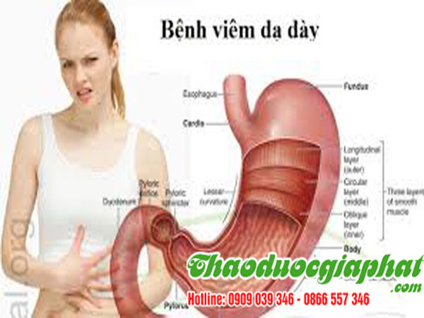 mua-ban-cay-du-de-tai-quan-binh-thanh-hieu-qua-dau-da-day