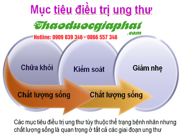 mua-ban-cay-giao-xuong-ca-uy-tin-chat-luong-tai-quan-12-tri-ung-thu-rat-tot