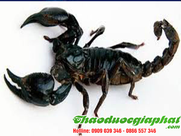 mua-ban-cay-giao-xuong-ca-uy-tin-chat-luong-tai-quan-4-tri-bo-cap-dot