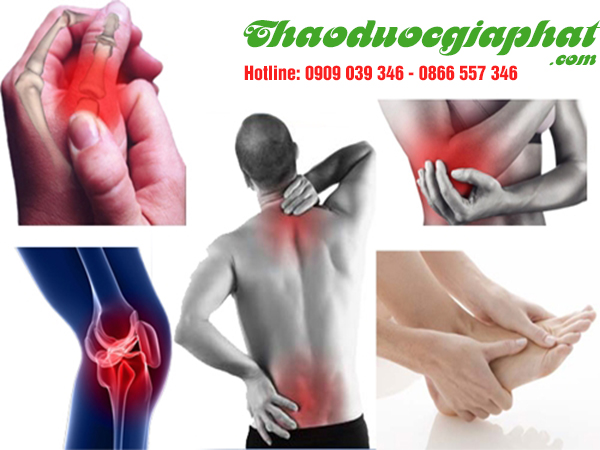 mua-ban-cay-giao-xuong-ca-uy-tin-chat-luong-tai-quan-8-tri-dau-khop-xuong