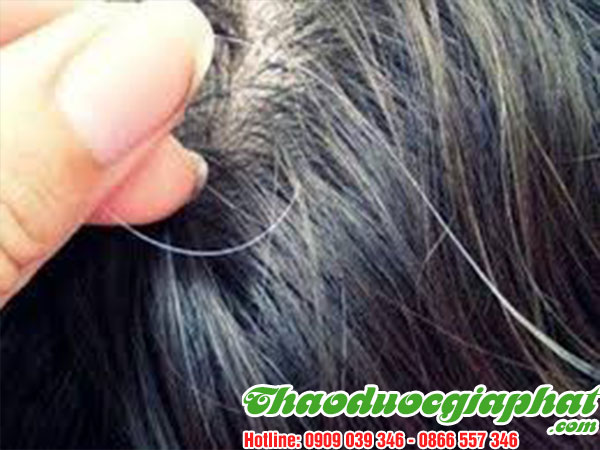 mua-ban-cay-han-the-uy-tin-chat-luong-tai-huyen-nha-be-tri-toc-bac-som