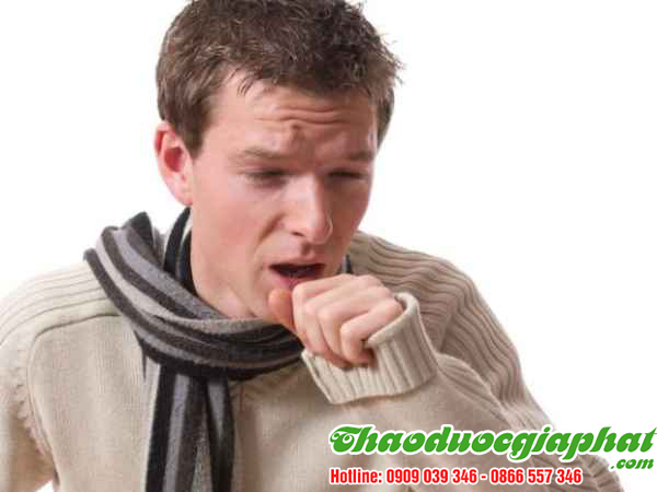 mua-ban-cay-han-the-uy-tin-chat-luong-tai-quan-1-tri-ho-co-dom