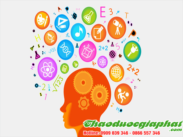 mua-ban-cay-la-lot-uy-tin-chat-luong-tai-quan-10-nang-cao-tri-nho-va-tap-trung