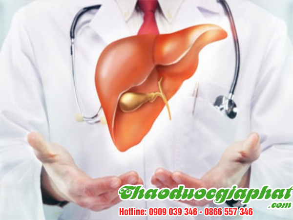 mua-ban-cay-la-lot-uy-tin-chat-luong-tai-quan-thu-duc-giai-doc-gan