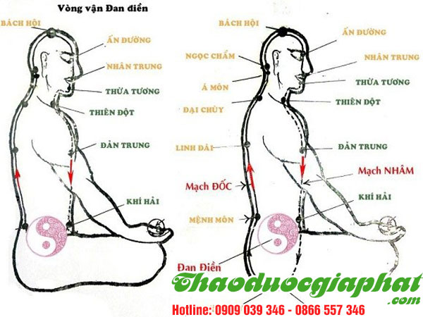 mua-ban-cay-xuyen-khung-uy-tin-chat-luong-tai-quan-11-on-dinh-kinh-mach