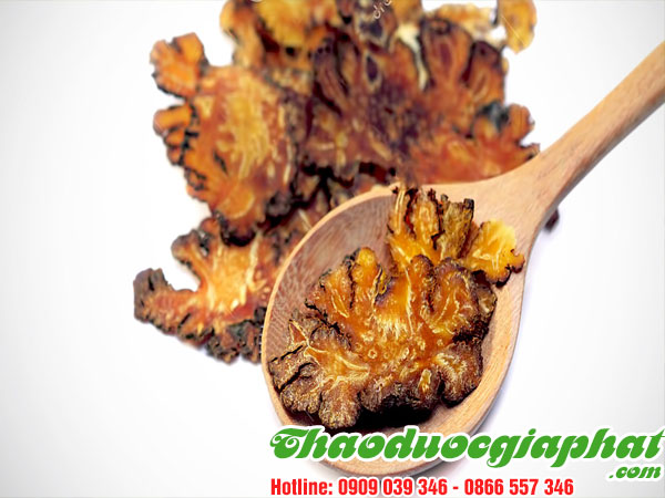 mua-ban-cay-xuyen-khung-uy-tin-chat-luong-tai-quan-tan-binh
