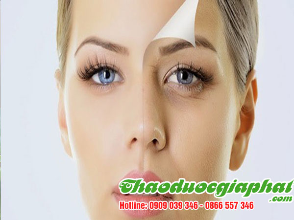 mua-ban-che-day-uy-tin-chat-luong-tại-quan-4-giai-doc