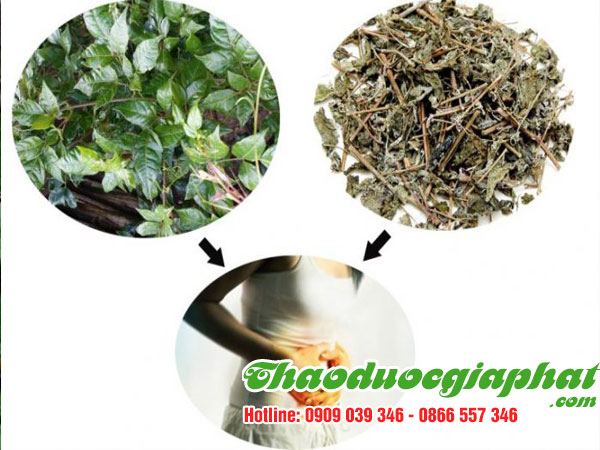 mua-ban-che-day-uy-tin-chat-luong-tại-quan-tan-phu