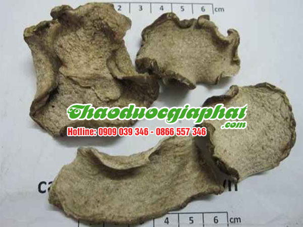 mua-ban-cu-ray-uy-tin-chat-luong-gia-re-tai-quan-binh-tan
