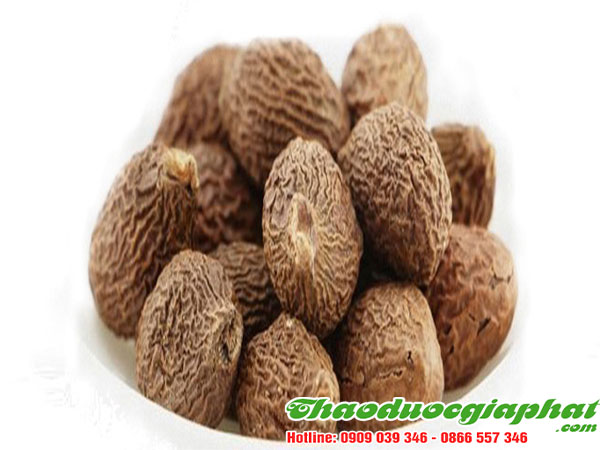 mua-ban-hat-uoi-uy-tin-chat-luong-tai-huyen-can-gio