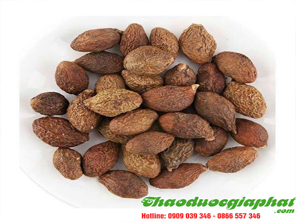 mua-ban-hat-uoi-uy-tin-chat-luong-tai-quan-4