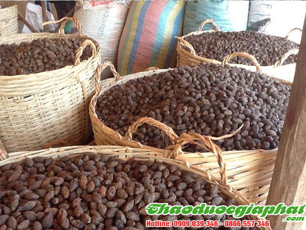 mua-ban-hat-uoi-uy-tin-chat-luong-tai-quan-5