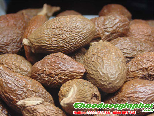 mua-ban-hat-uoi-uy-tin-chat-luong-tai-quan-7