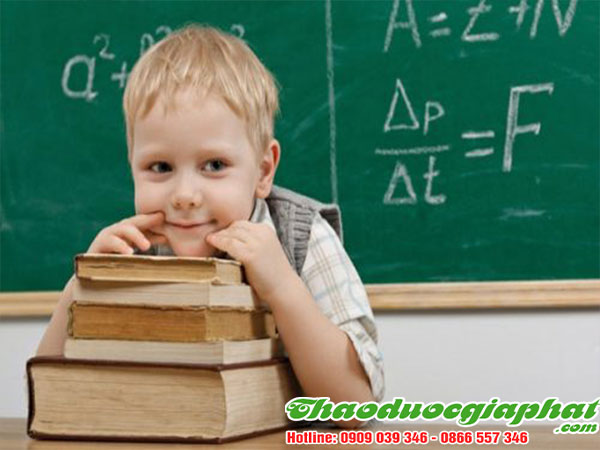 mua-ban-hat-uoi-uy-tin-chat-luong-tai-quan-8-tang-cuong-tri-nho