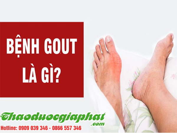 mua-ban-nu-voi-la-voi-tai-quan-1-hieu-qua-tri-benh-gout