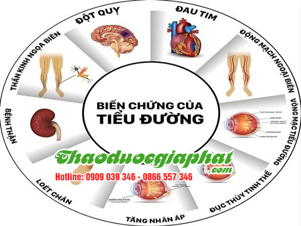 mua-ban-nu-voi-la-voi-tai-quan-2-hieu-qua-tri-benh-tieu-duong