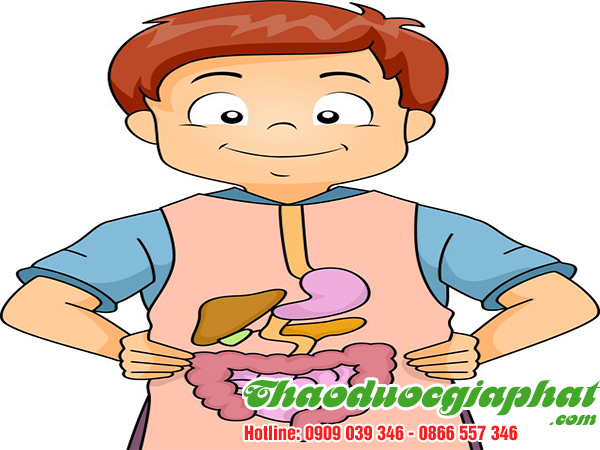 mua-ban-nu-voi-la-voi-tai-quan-3-hieu-qua-ho-tro-tieu-hoa