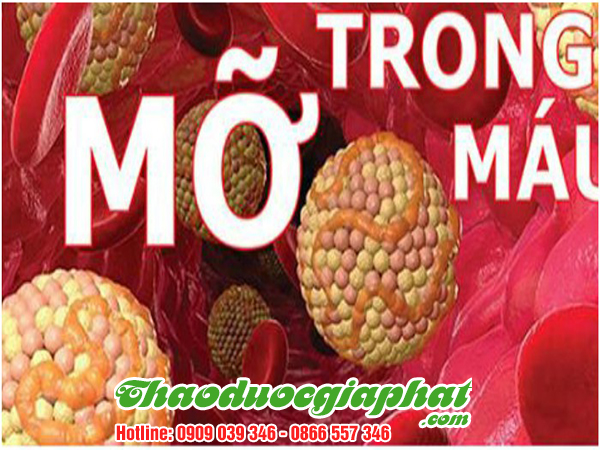 mua-ban-nu-voi-la-voi-tai-quan-tan-binh-hieu-qua-giam-mo-mau