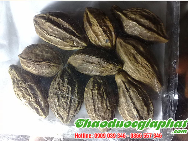 qua-kha-tu-tai-quan-10-tot-nhat