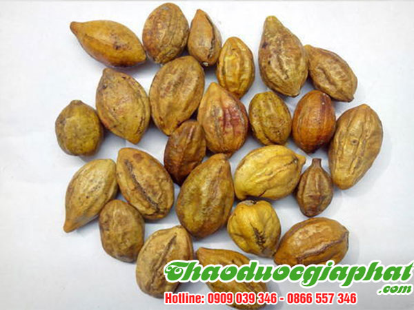 qua-kha-tu-tai-quan-6-tot-nhat