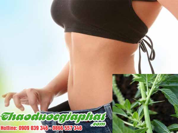 rau-den-gai-giup-giam-can-tai-quan-5