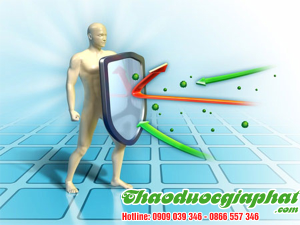 rau-den-gai-giup-tang-cuong-mien-dich-tai-huyen-binh-chanh