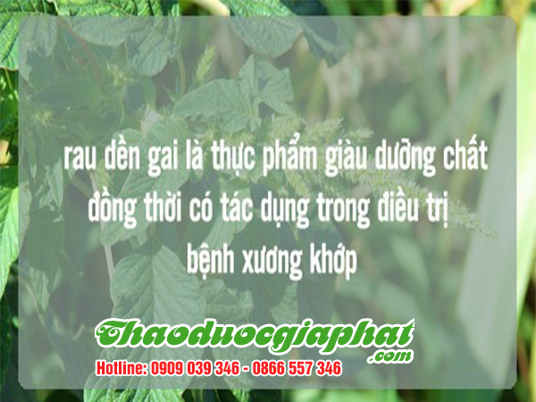 rau-den-gai-tai-quan-11