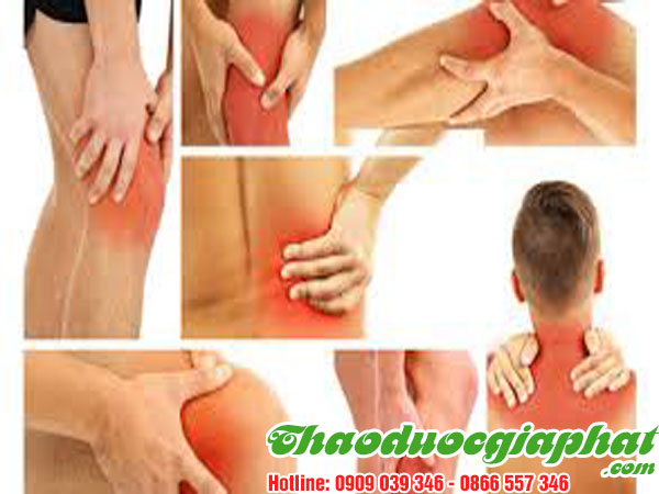 rau-den-gai-tri-dau-xuong-khop-tai-quan-8