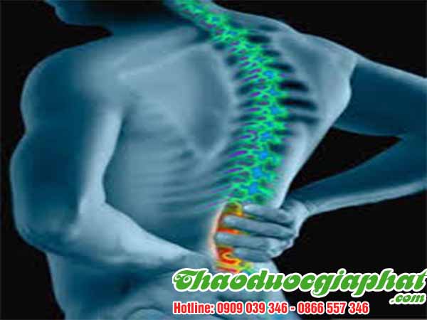 rau-den-gai-tri-gai-cot-song-tai-quan-4