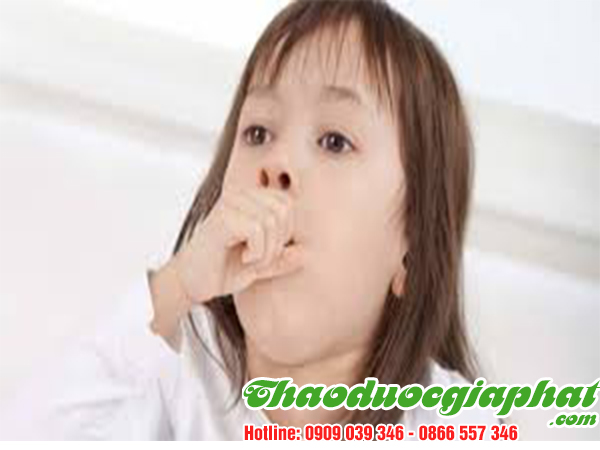 rau-den-gai-tri-ho-tai-quan-1