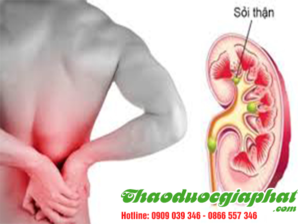 rau-den-gai-tri-soi-than-tai-quan-2