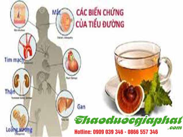 rau-den-gai-tri-tieu-duong-tai-quan-9