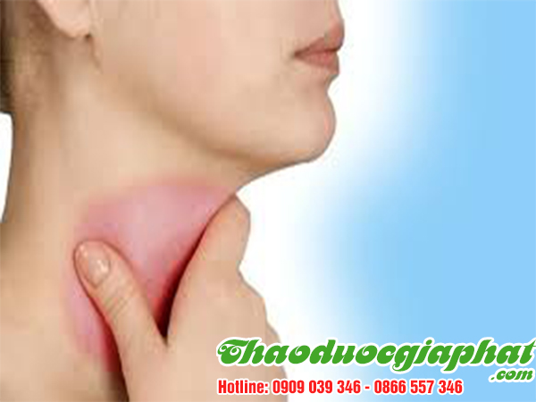 rau-den-gai-tri-viem-hong-tai-quan-3