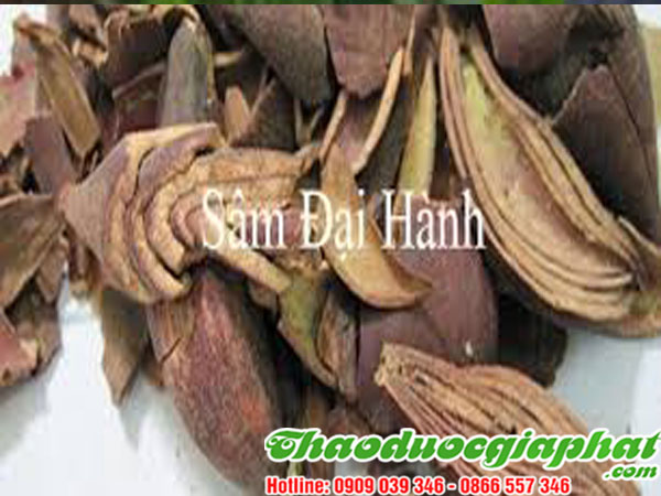 sam-dai-hanh-tai-huyen-cu-chi
