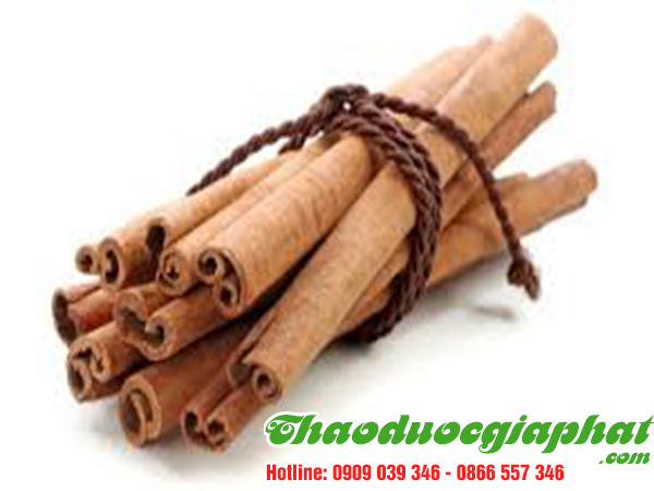 vo-que-an-toan-chat-luong-tot-tai-quan-binh-tan