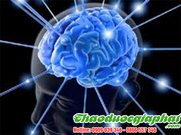 vo-que-tang-chuc-nang-nao-hieu-qua-tai-quan-7